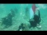 Merah Putih Berkibar di Dasar Laut Pulau Senoa